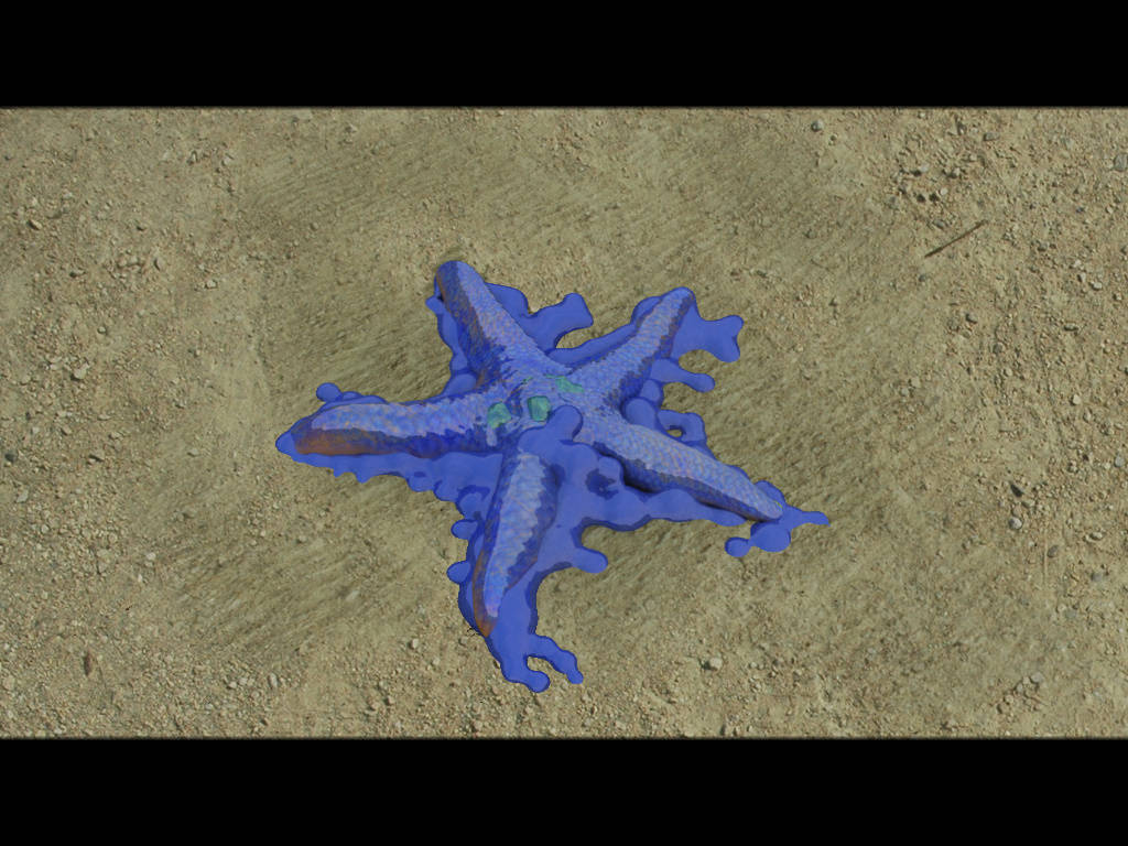 Герой - морская звезда на берегу (уровень 5)