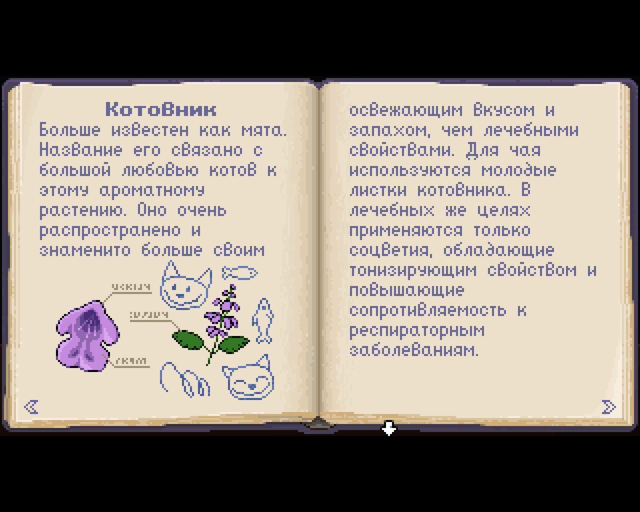 Лисохвост - Страница про мяту из книги Целебные травы (уровень 1)